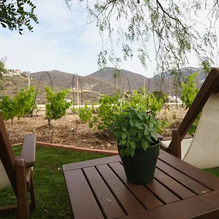 Aparthotel Amorgion Village Katápola