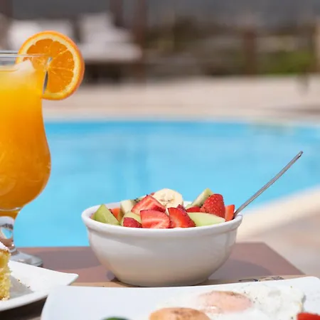 아파트호텔 Amorgion Village 카타폴라